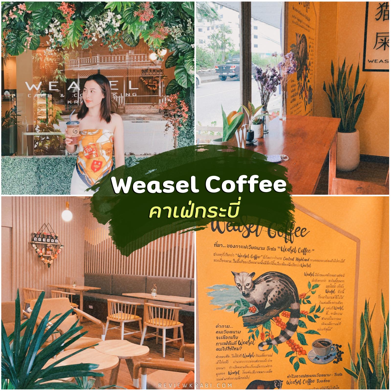 Weasel coffee กาแฟชะมด คาเฟ่กระบี่ ร้านกาแฟเพื่อสุขภาพ อร่อยเว้ออ